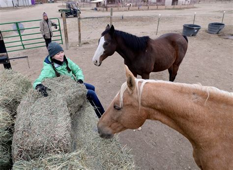 Colorado horse rescue - Franktown, CO. The Dumb Friends League Harmony Equine Center™ is a private rehabilitation and adoption facility for abused and neglected horses, ponies, donkeys and mules that have been removed from their owners by law enforcement authorities. The Harmony Equine Center also serves as a central hub where horses from …